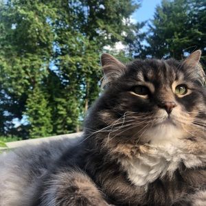 Meet your Posher, Kacie